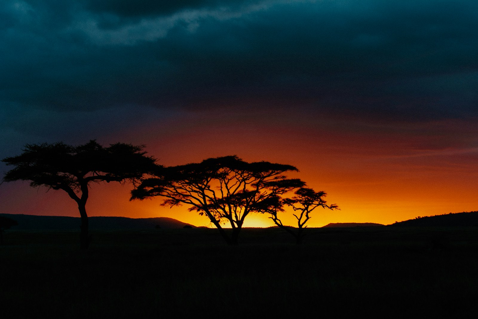 Savannenlandschaft